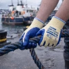Vue port�s