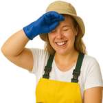 R�sister � la chaleur et au soleil